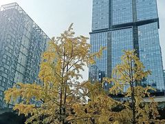 -星巴克(成都龙湖三千集店)