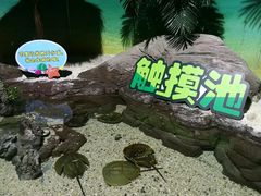 -南昌海洋公园