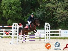 -重庆和泰马术俱乐部