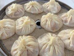 猪肉大葱水馅包子-守鑫水馅包子铺