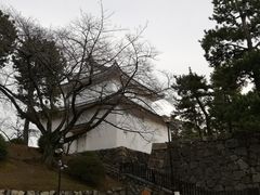 -名古屋城