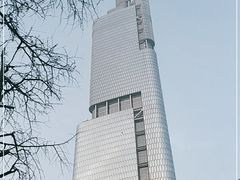 -紫峰大厦