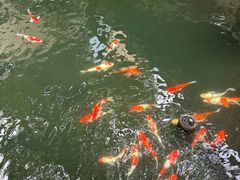 -新荣记(西溪湿地店)