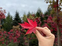 -硗碛藏寨·神木垒景区