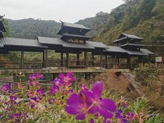 -紫云谷景区