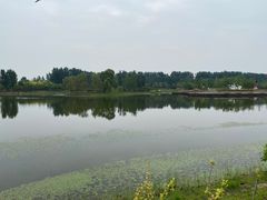 -东郊湿地公园