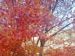 -北京雁栖湖国际会展中心