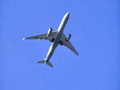 -龙大花卉苗木市场