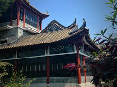 -顺峰山公园