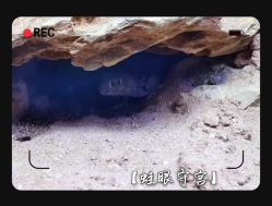 -酷嗒动物文化乐园(cutezoo西溪乐天城店)