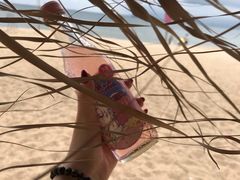-玫瑰海岸文化旅游度假区