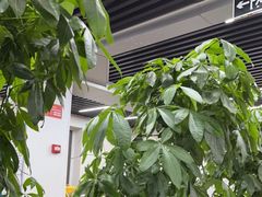 -金贝壳海鲜加工坊(田和活鲜水产市场店)