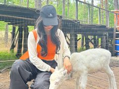 -北极村旅游风景区