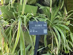 -国家植物园南园