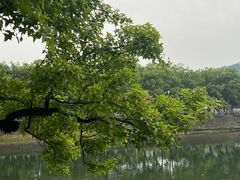 -溪口-滕头旅游景区