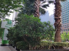 -上海浦东假日酒店