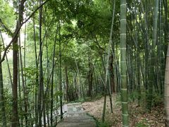 -杭州黄龙洞