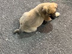 -桂萍特色牛筋牛杂(长堤街总店)