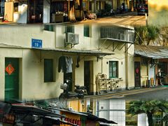 -溪岸路花鸟市场