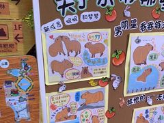 -正佳雨林生态植物园