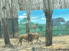 -秦皇岛野生动物园