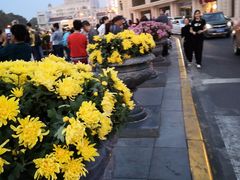 -人民防洪胜利纪念塔