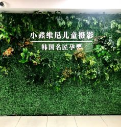 -小熊维尼高端儿童摄影(宝安旗舰店)