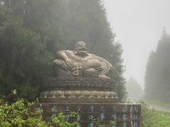 -武陵山森林公园