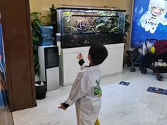 -神奇科学家STEAM科学实验科创赛事机器人编程逻辑思维MadScience(长宁来福士校区)