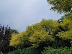 -北坞公园