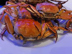 -半岛听涛蒸汽海鲜自助(K11店)