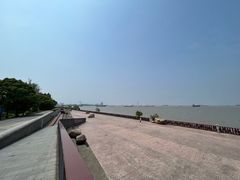 -上海滨江森林公园