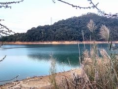 -广州市流溪河国家森林公园