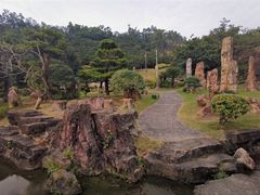 -深圳仙湖植物园
