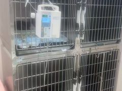 -瑞鹏宠物医院•异宠•宠保定点•流浪定点救助宠物医院(青祁店)