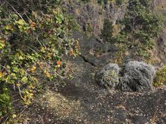 -夏威夷火山国家公园