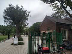 -新江湾城公园