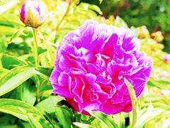 -长春公园(普阳街道)