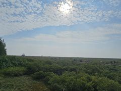 -北海金海湾红树林生态旅游区