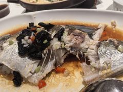 -侨美食家·40年地道粤菜(珠江新城店)