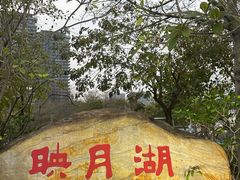 -映月湖公园
