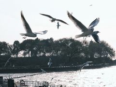 -蠡湖大桥公园