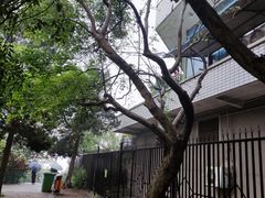-耿福兴(半边街店)
