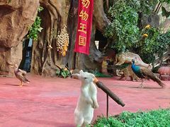 -长鹿旅游休博园