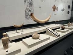 -广西壮族自治区博物馆