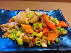 -鸿运天马川香菜家常菜(双桥店)