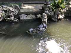 -普陀山风景名胜区-法雨禅寺