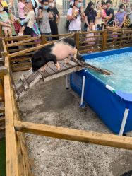 -小蜜蜂农场(凯德七宝购物广场店)