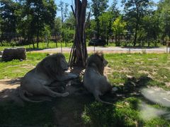 -秦皇岛野生动物园