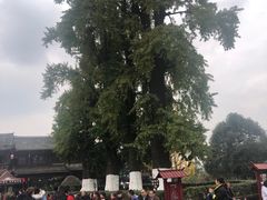 -崇州市街子古镇